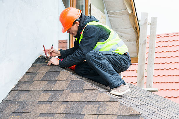 Best Roof Gutter Cleaning  in Blackville, SC